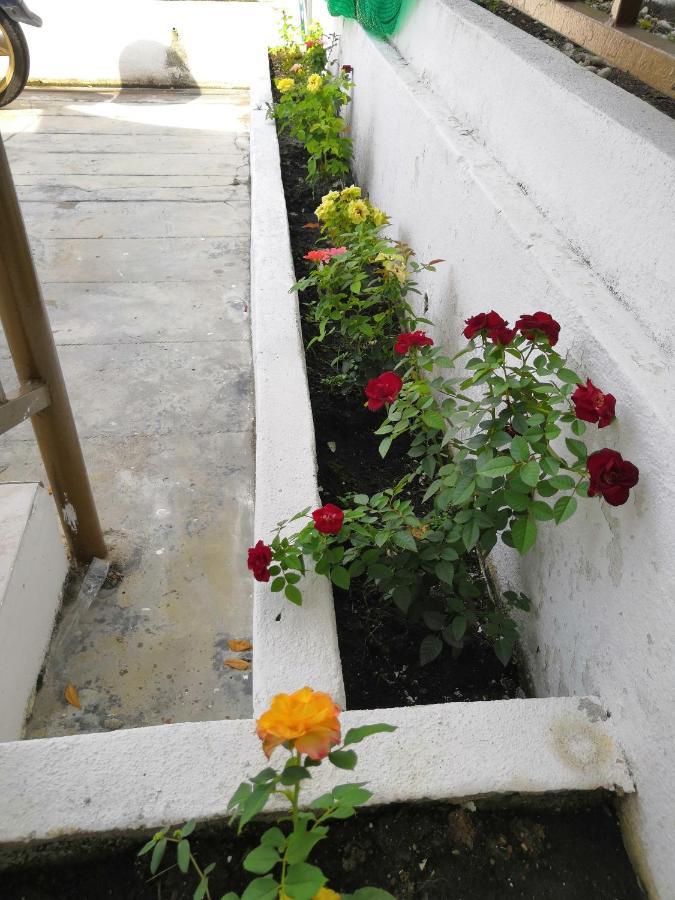 Jsw Inn Gelugor Exterior foto